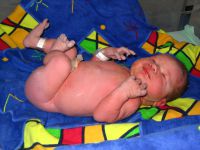Newborn Babies