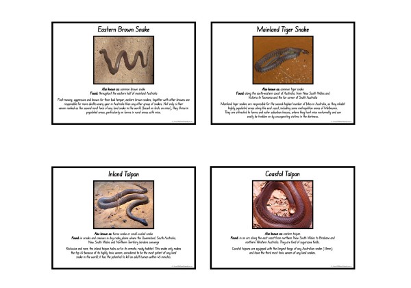 Australian Snakes Information Posters