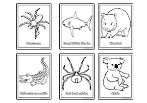 Australian Animal Colouring Pages