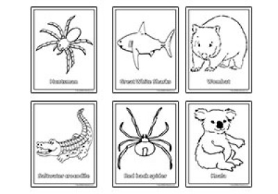 Australian Animal Colouring Pages