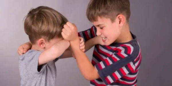 Aggressive Behaviour And Violence In Children: Prevention, Intervention and Support