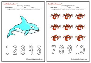 Counting Numbers - Sea World Theme