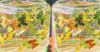 Nature Leaf Snow Globe