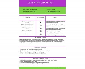 Learning Snapshot