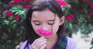 $1,000 Growing Good Gardens Grants Available To Early Childhood Services