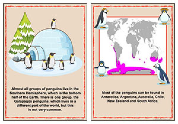 Penguin Information Posters