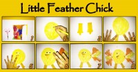 Little Feather Chick