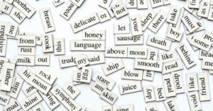 Practical Guide: Finding the Words for Observations