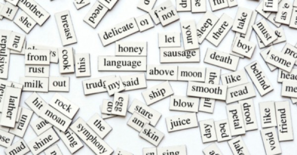 Practical Guide: Finding the Words for Observations