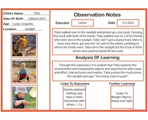 Observation Notes