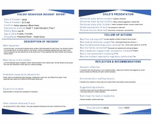 Violent Behaviour Incident Report