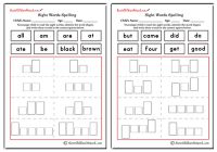 Primer Sight Words Shapes and Spellings