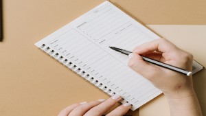 The Myth of the Perfect Program