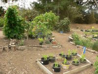 Sustainability Practices in Childcare