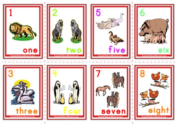 Counting Numbers Flashcards - Animals