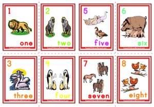 Counting Numbers Flashcards - Animals