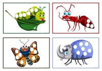 Insect and Bugs Pom Pom Mats