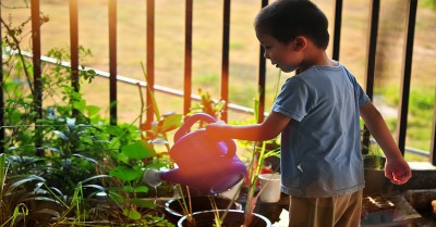 Woolworths Junior Landcare Grants For Early Childhood Services