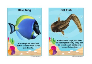 Ocean Animals Facts Posters