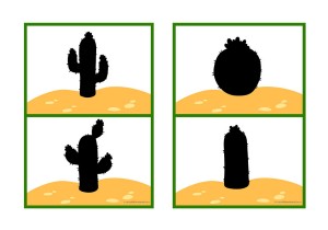 Cactus Shadow Match Cut and Paste