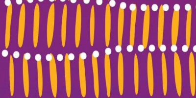 Stolen Generation Resource Kit For Educators 