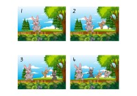 Bunny Number Counting