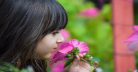 $1000 Garden Grants Available To Early Childhood Services