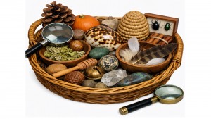 Introducing Curiosity Baskets For Family Participation