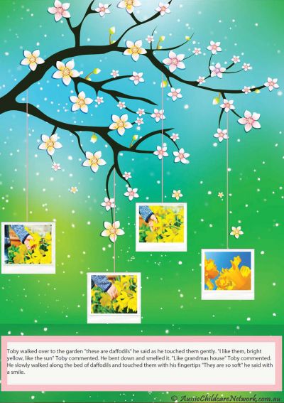 Photo Blossoms Observation Template