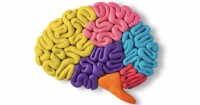 Sensory Processing In The Learning Environment