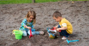 Educators&#039; Role In Play