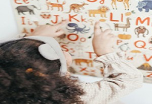 Language and Literacy Experiences For Toddlers