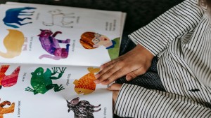 Playful Literacy in Everyday Routines: Embedding Joyful Reading in Early Childhood