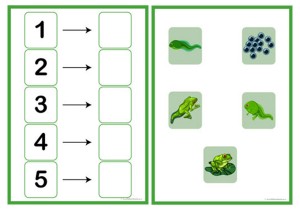 Frog Life Cycle Sequencing Worksheets