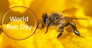 World Bee Day Activities For Children