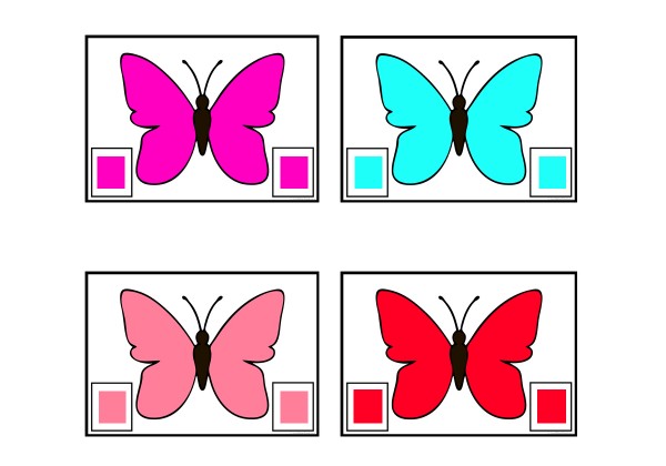 Butterfly Colour Matching