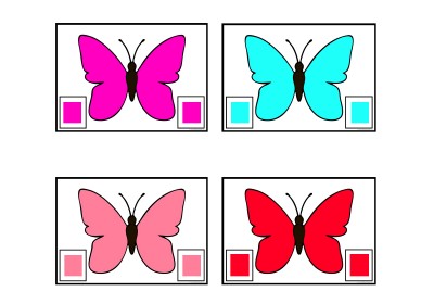 Butterfly Colour Matching