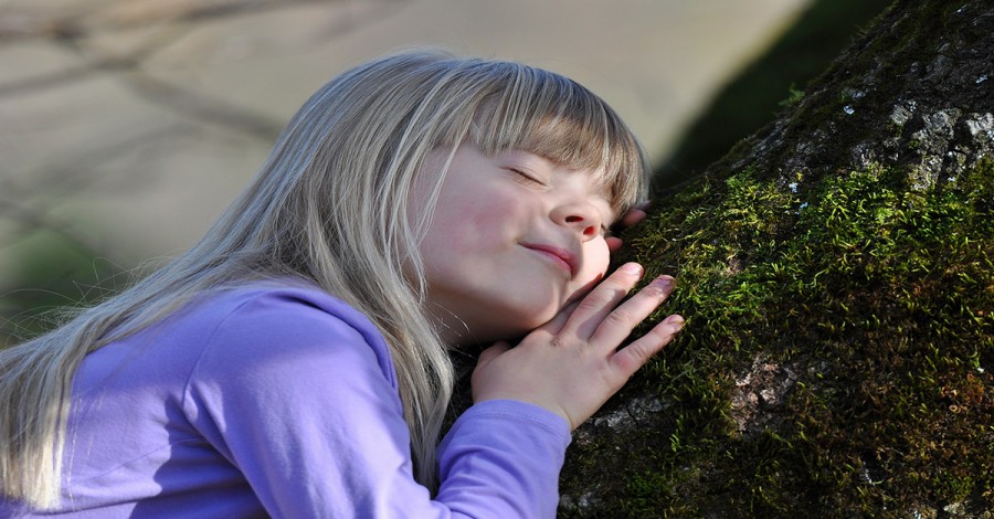 National Schools Tree Day On 31 July