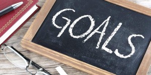 Q: How Do I Add Group Goals To The Program?