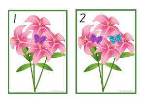 Butterfly and Flower Number Count