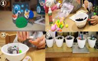 Plastic Bottle Planter