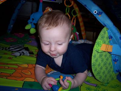 Cognitive Development for Babies 12-24 months
