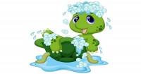 Tiny Tim The Turtle - Auslan Sign