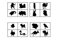 Animal Shadow Matching