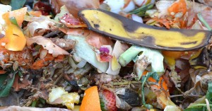 Reducing Food Waste In An Early Childhood Service
