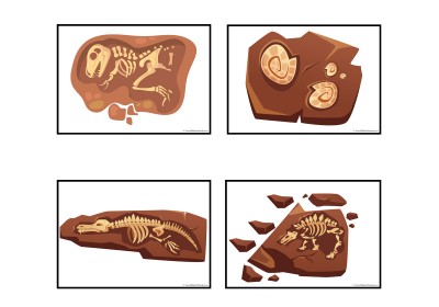 Dinosaur Fossil Posters