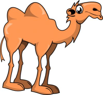 Alice The Camel