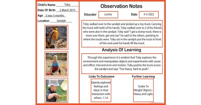 Observation Notes - Observation Record