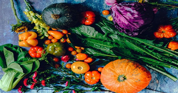 Simple, Quick &amp; Tasty Vegetarian Recipes for Young Children