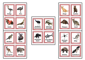 Australian Animals Flashcards